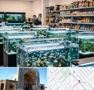 فروش ماهی آکواریوم در مصلی مشهد 