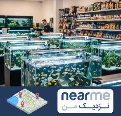 فروش ماهی آکواریوم در نزدیک من