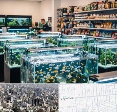 فروش ماهی آکواریوم در جیحون 