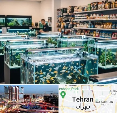 فروش ماهی آکواریوم در صادقیه