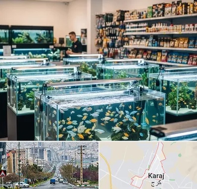 فروش ماهی آکواریوم در گوهردشت کرج