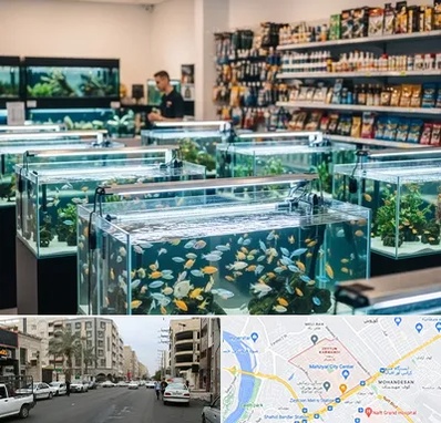 فروش ماهی آکواریوم در زیتون کارمندی اهواز 