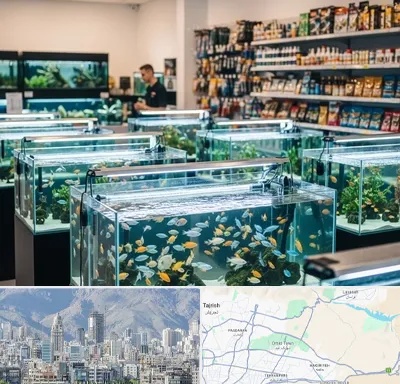 فروش ماهی آکواریوم در شمال شرق تهران