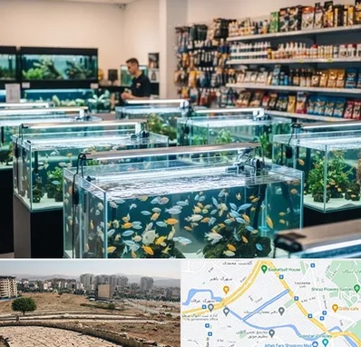 فروش ماهی آکواریوم در کوی وحدت شیراز
