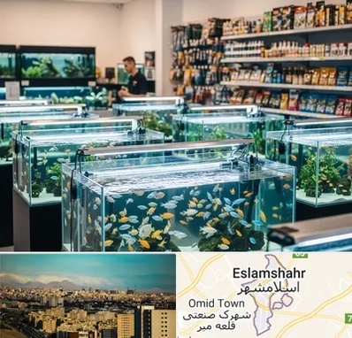 فروش ماهی آکواریوم در اسلامشهر