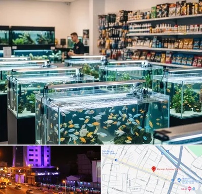 فروش ماهی آکواریوم در آبرسان تبریز 