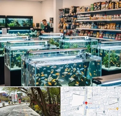 فروش ماهی آکواریوم در خیابان توحید اصفهان