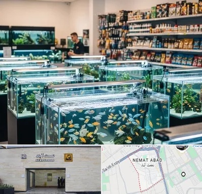 فروش ماهی آکواریوم در نعمت آباد 