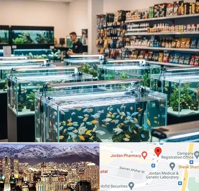 فروش ماهی آکواریوم در جردن
