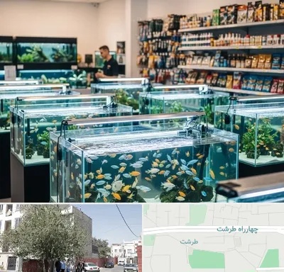 فروش ماهی آکواریوم در طرشت