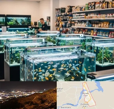 فروش ماهی آکواریوم در میناب