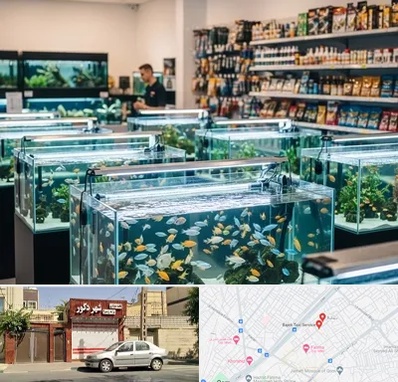 فروش ماهی آکواریوم در باجک قم