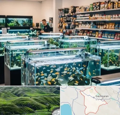 فروش ماهی آکواریوم در گچساران