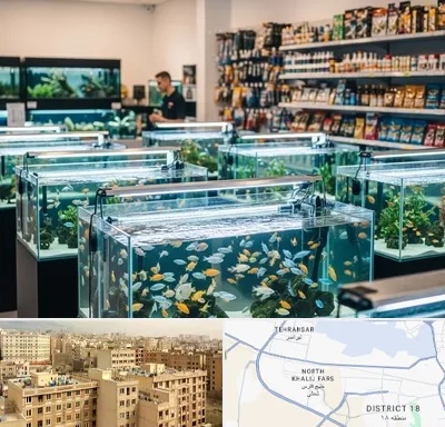 فروش ماهی آکواریوم در جنوب غرب تهران