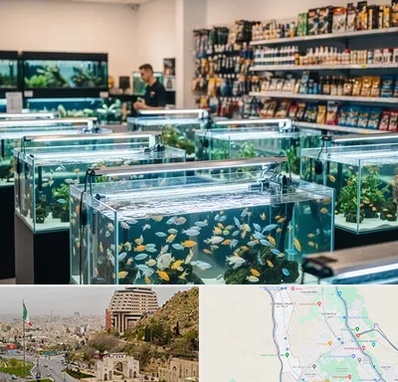 فروش ماهی آکواریوم در فرهنگ شهر شیراز 