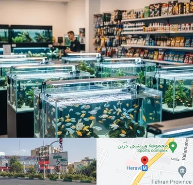 فروش ماهی آکواریوم در هروی 