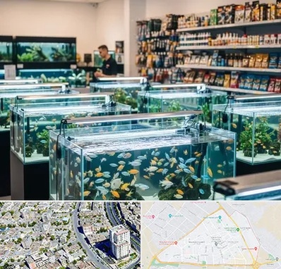 فروش ماهی آکواریوم در قاسم آباد مشهد