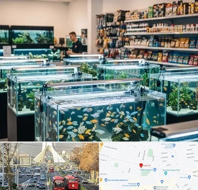 فروش ماهی آکواریوم در خیابان آزادی 
