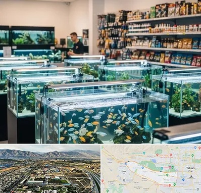فروش ماهی آکواریوم در منطقه 21 تهران 