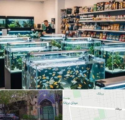 فروش ماهی آکواریوم در بریانک