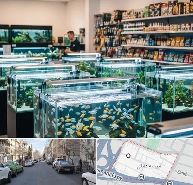 فروش ماهی آکواریوم در مجیدیه شمالی