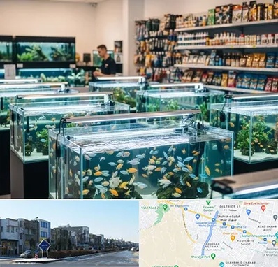 فروش ماهی آکواریوم در شریعتی مشهد 