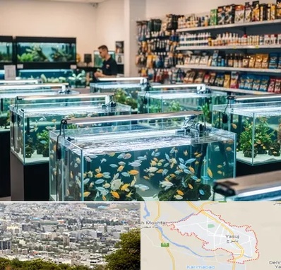 فروش ماهی آکواریوم در یاسوج
