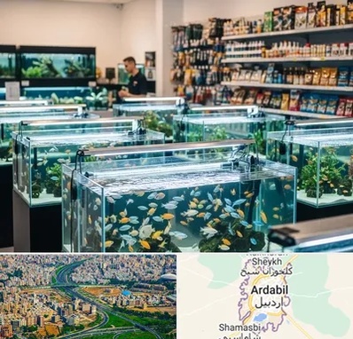فروش ماهی آکواریوم در اردبیل