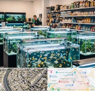فروش ماهی آکواریوم در شهرک غرب مشهد