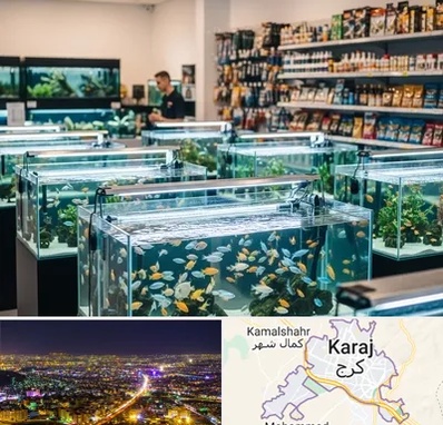 فروش ماهی آکواریوم در کرج