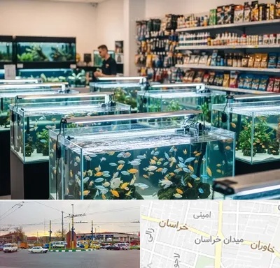 فروش ماهی آکواریوم در میدان خراسان