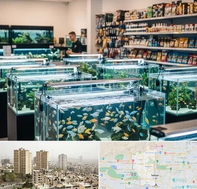فروش ماهی آکواریوم در منطقه 5 تهران