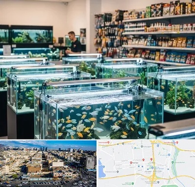 فروش ماهی آکواریوم در شهرک راه آهن 