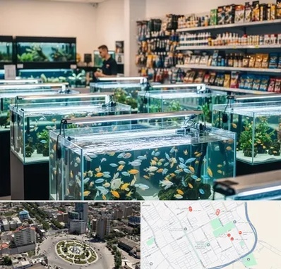 فروش ماهی آکواریوم در زرافشان اسلامشهر 