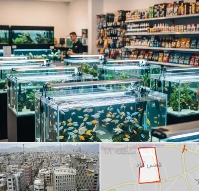فروش ماهی آکواریوم در شمس آباد تهران