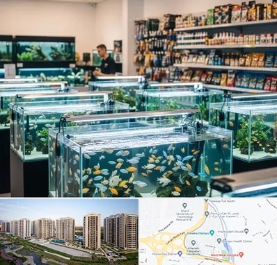 فروش ماهی آکواریوم در المپیک 