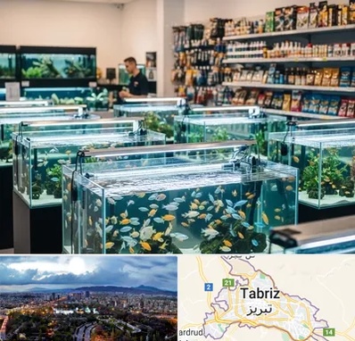 فروش ماهی آکواریوم در تبریز