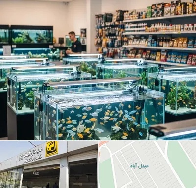 فروش ماهی آکواریوم در عبدل آباد