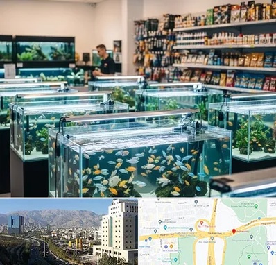 فروش ماهی آکواریوم در حقانی
