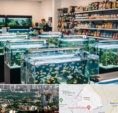 فروش ماهی آکواریوم در عظیمیه کرج