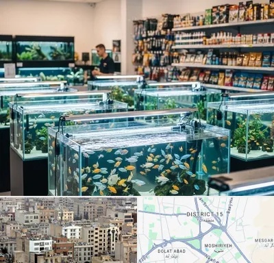 فروش ماهی آکواریوم در جنوب شرق تهران