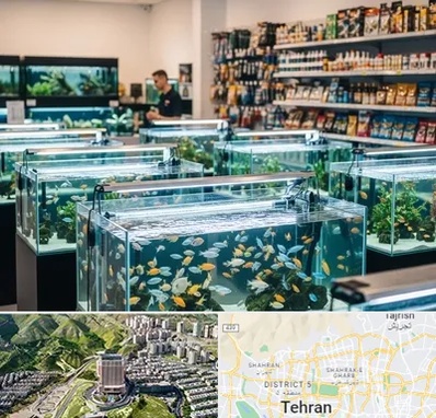 فروش ماهی آکواریوم در شمال تهران 