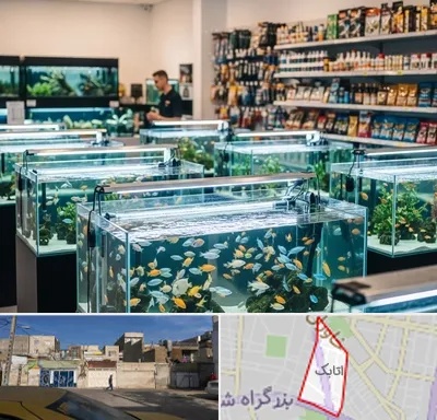 فروش ماهی آکواریوم در اتابک