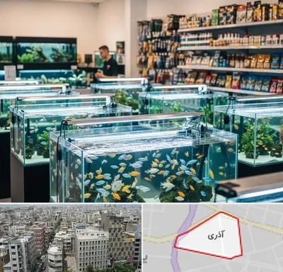 فروش ماهی آکواریوم در آذری
