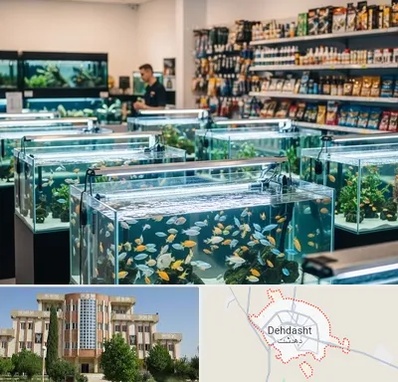 فروش ماهی آکواریوم در دهدشت