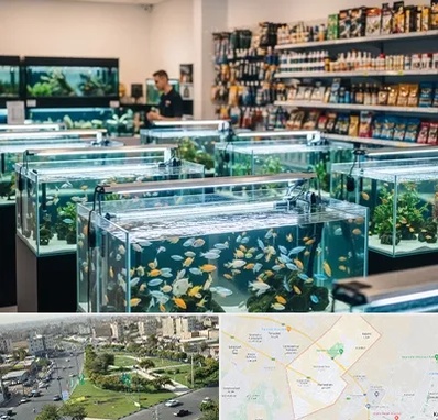 فروش ماهی آکواریوم در کمال شهر کرج