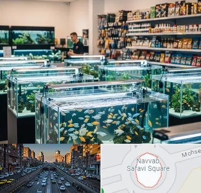 فروش ماهی آکواریوم در نواب