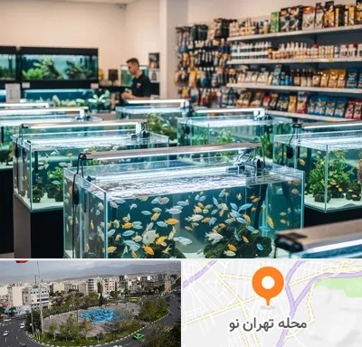 فروش ماهی آکواریوم در تهران نو