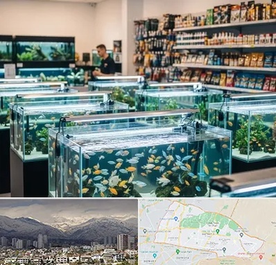 فروش ماهی آکواریوم در منطقه 4 تهران 