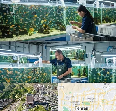 فروش عمده ماهی آکواریومی در شمال تهران